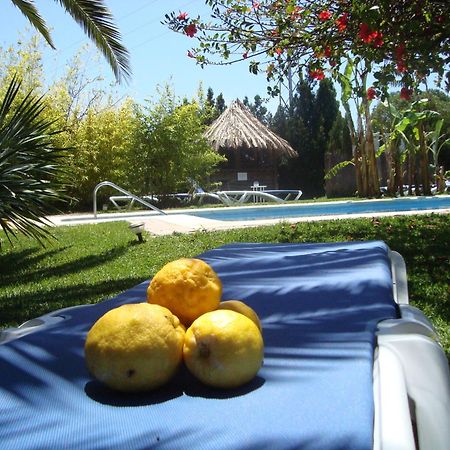 Bungalows Puravida Zahora Eksteriør billede