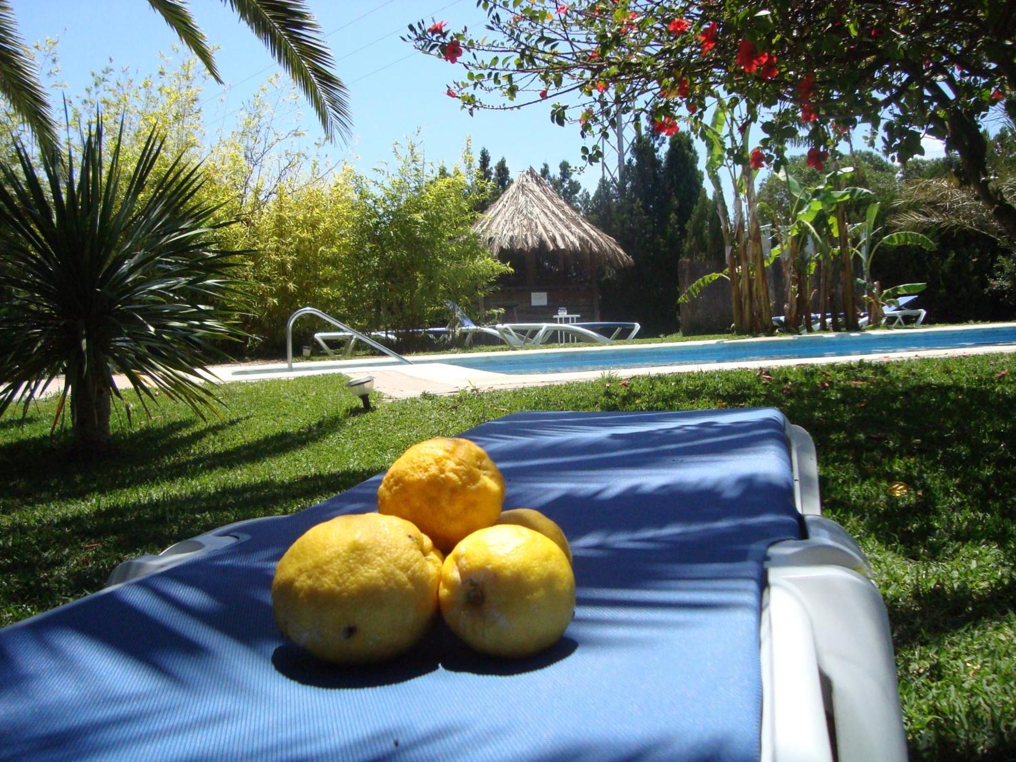 Bungalows Puravida Zahora Eksteriør billede