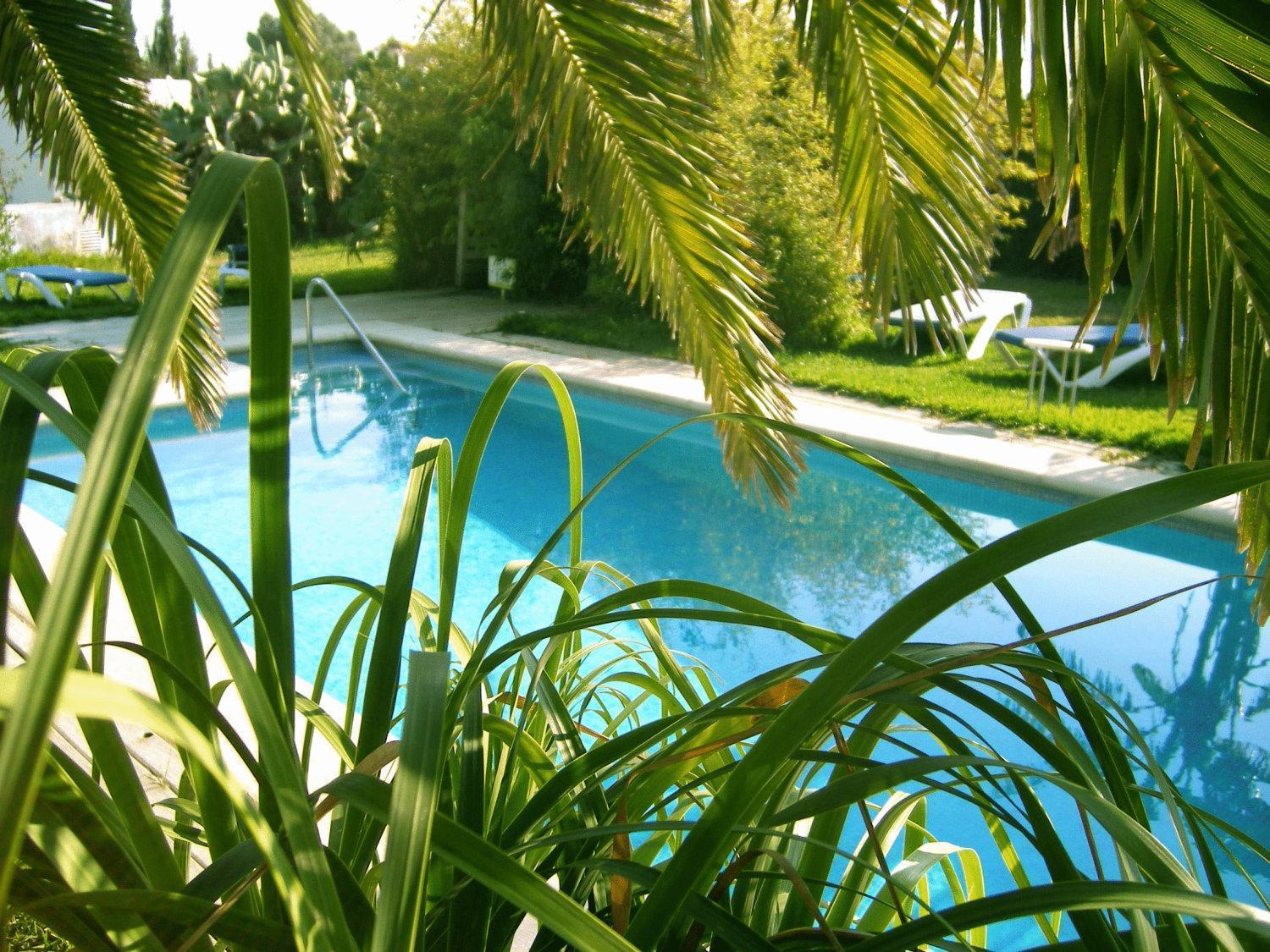 Bungalows Puravida Zahora Eksteriør billede